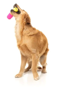 FuzzYard Chill Pill - Interactive Chew Toy