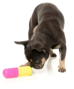 FuzzYard Chill Pill - Interactive Chew Toy