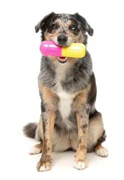 FuzzYard Chill Pill - Interactive Chew Toy