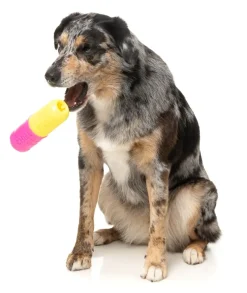 FuzzYard Chill Pill - Interactive Chew Toy