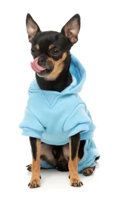 FuzzYard Chillin' Tracksuit - Blue