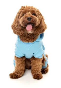 FuzzYard Chillin' Tracksuit - Blue