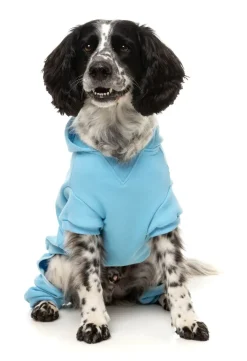 FuzzYard Chillin' Tracksuit - Blue