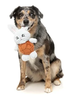 FuzzYard Choc Belly Bunny - Dog Toy