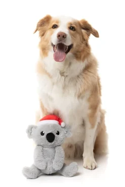 FuzzYard Coco Koala - Dog Toy