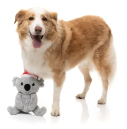 FuzzYard Coco Koala - Dog Toy