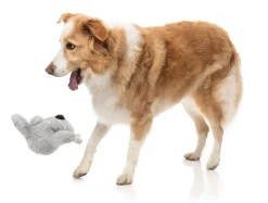 FuzzYard Coco Koala - Dog Toy