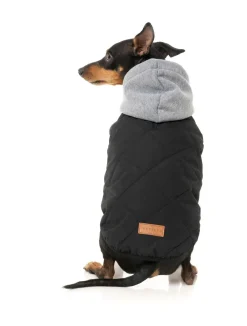 FuzzYard Cremorne Hoodie - Black