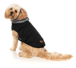 FuzzYard Cremorne Hoodie - Black