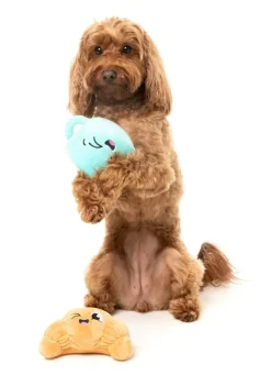 FuzzYard Croissant & Cappuccino 2PK - Dog Toy