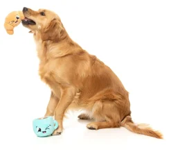 FuzzYard Croissant & Cappuccino 2PK - Dog Toy