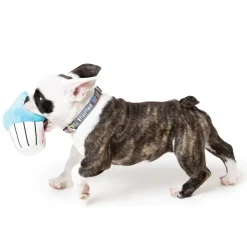 FuzzYard Cupcake - Blue