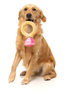 FuzzYard Diamond In The Ruff Ring - Dog Toy