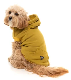 FuzzYard Dijon Street Hoodie