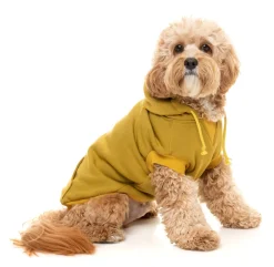 FuzzYard Dijon Street Hoodie