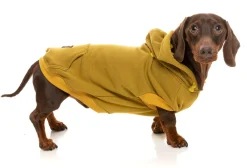 FuzzYard Dijon Street Hoodie