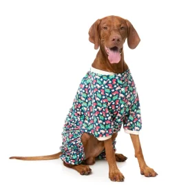 FuzzYard Dinosaur Land Pajamas