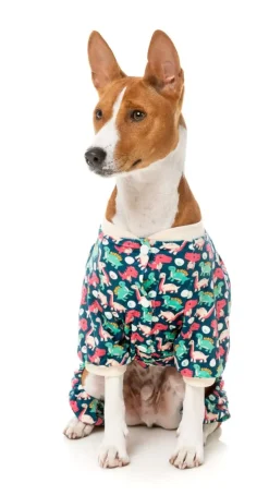 FuzzYard Dinosaur Land Pajamas