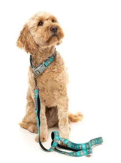 FuzzYard Disco Deers - Dog Leash