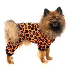 FuzzYard Dog Pajamas - Pumpkin Patch