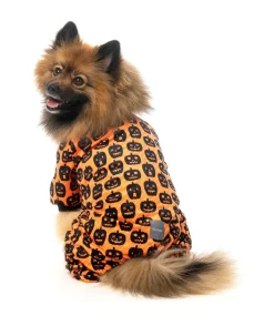 FuzzYard Dog Pajamas - Pumpkin Patch