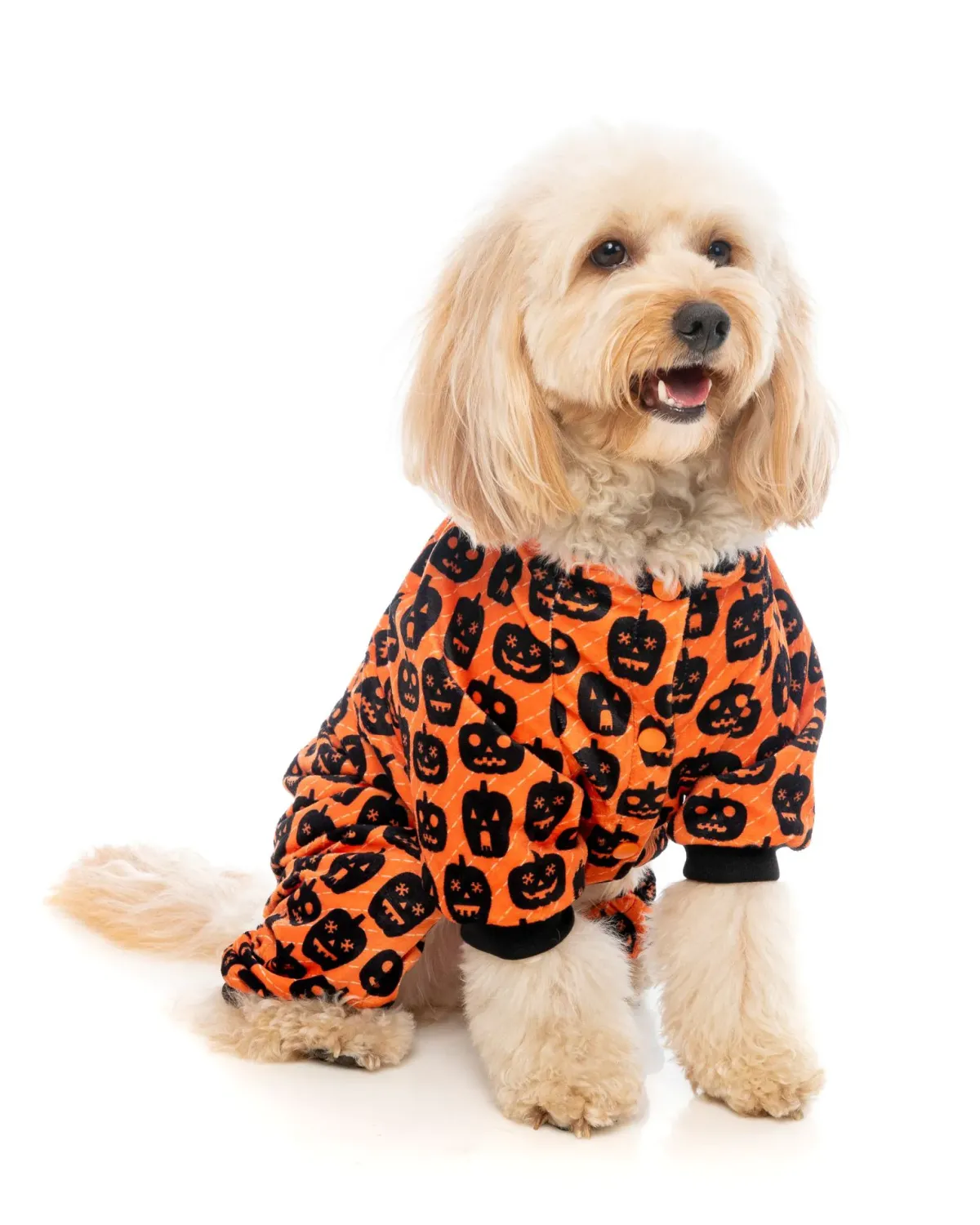 FuzzYard Dog Pajamas - Pumpkin Patch