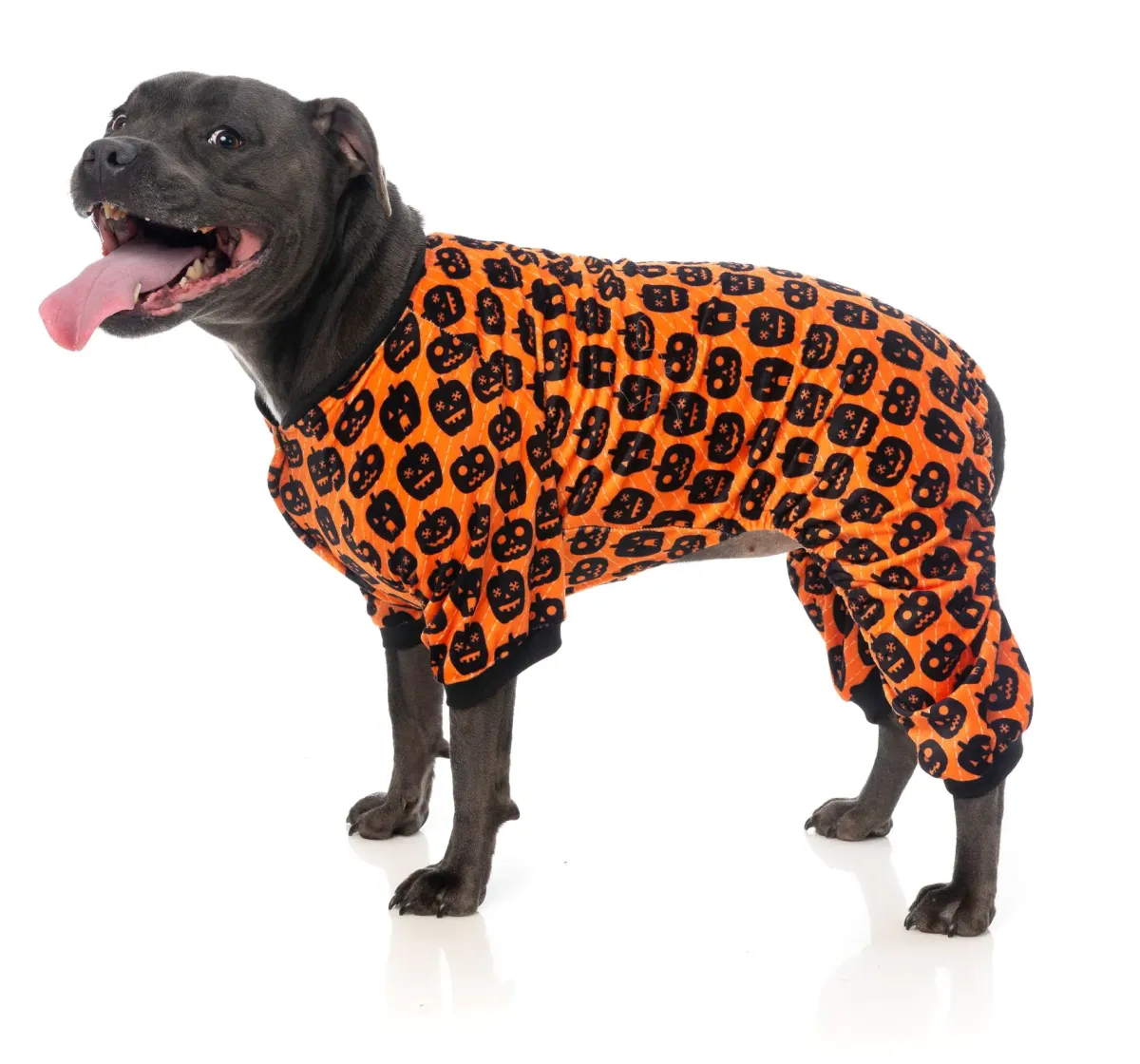 FuzzYard Dog Pajamas - Pumpkin Patch