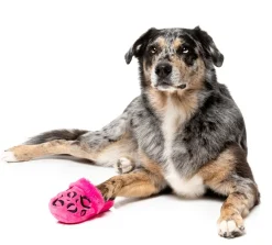 FuzzYard Dog Toy - Angel Slipper