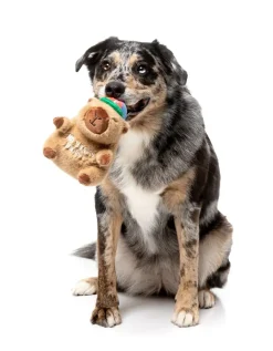 FuzzYard Dog Toy - Capy-bara
