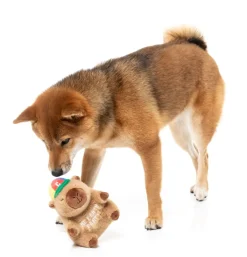 FuzzYard Dog Toy - Capy-bara