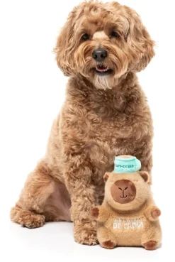 FuzzYard Dog Toy - Capy-ccino