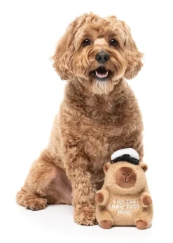 FuzzYard Dog Toy - Capy-tain