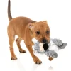 FuzzYard Dog Toy - Flat Out Nasties - Kana the Koala