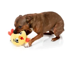 FuzzYard Dog Toy - Hen Diesel