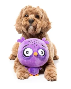 FuzzYard Dog Toy - Hoo-dini