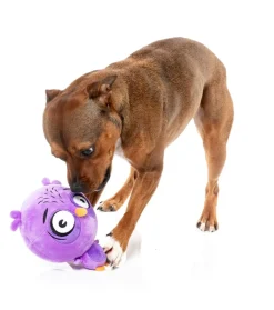 FuzzYard Dog Toy - Hoo-dini