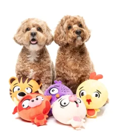 FuzzYard Dog Toy - Hoo-dini