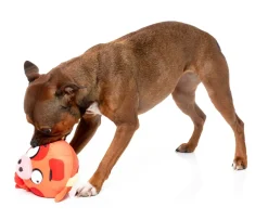 FuzzYard Dog Toy - Moo-hammad Ali