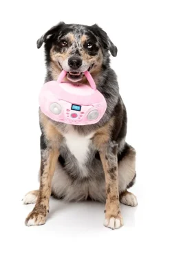 FuzzYard Dog Toy - Portable CD Player
