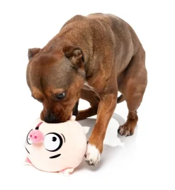 FuzzYard Dog Toy - Snoop Hogg