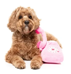 FuzzYard Dog Toy - You Hang Up Landline