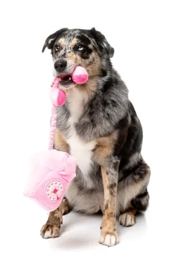 FuzzYard Dog Toy - You Hang Up Landline