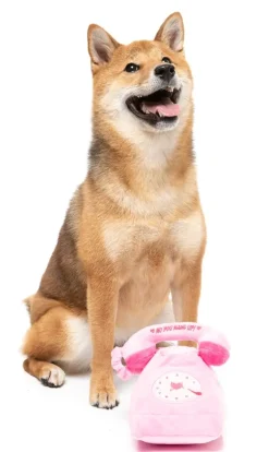 FuzzYard Dog Toy - You Hang Up Landline