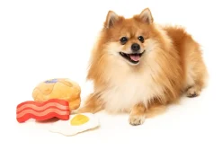 FuzzYard Dog's Breakfast 3PK - Dog Toy