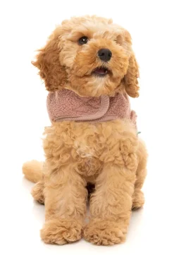 FuzzYard Dusty Pink Teddy Wrap Vest