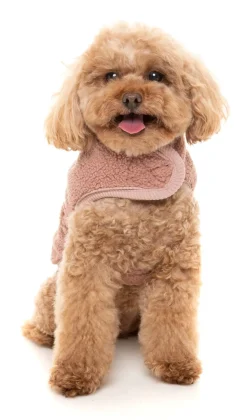 FuzzYard Dusty Pink Teddy Wrap Vest