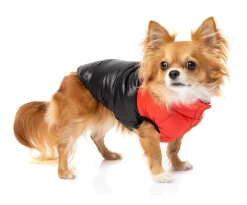 FuzzYard East Harlem Puffer Jacket - Red