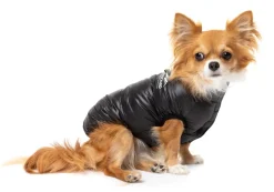 FuzzYard East Harlem Puffer Jacket - Black