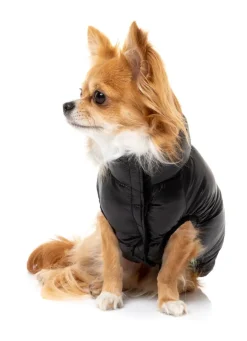 FuzzYard East Harlem Puffer Jacket - Black