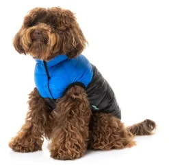 FuzzYard East Harlem Puffer Jacket - Blue